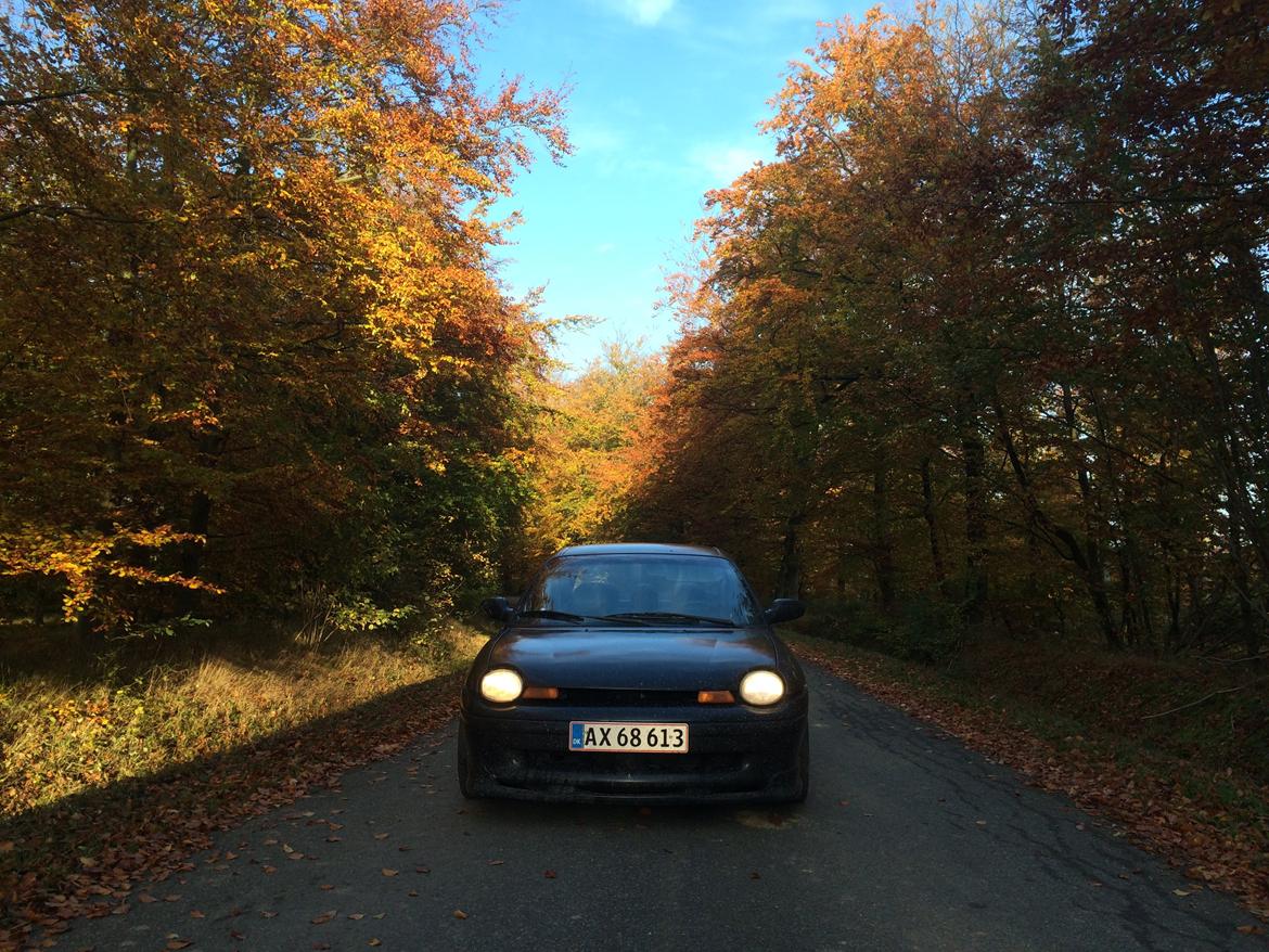 Chrysler Neon billede 13