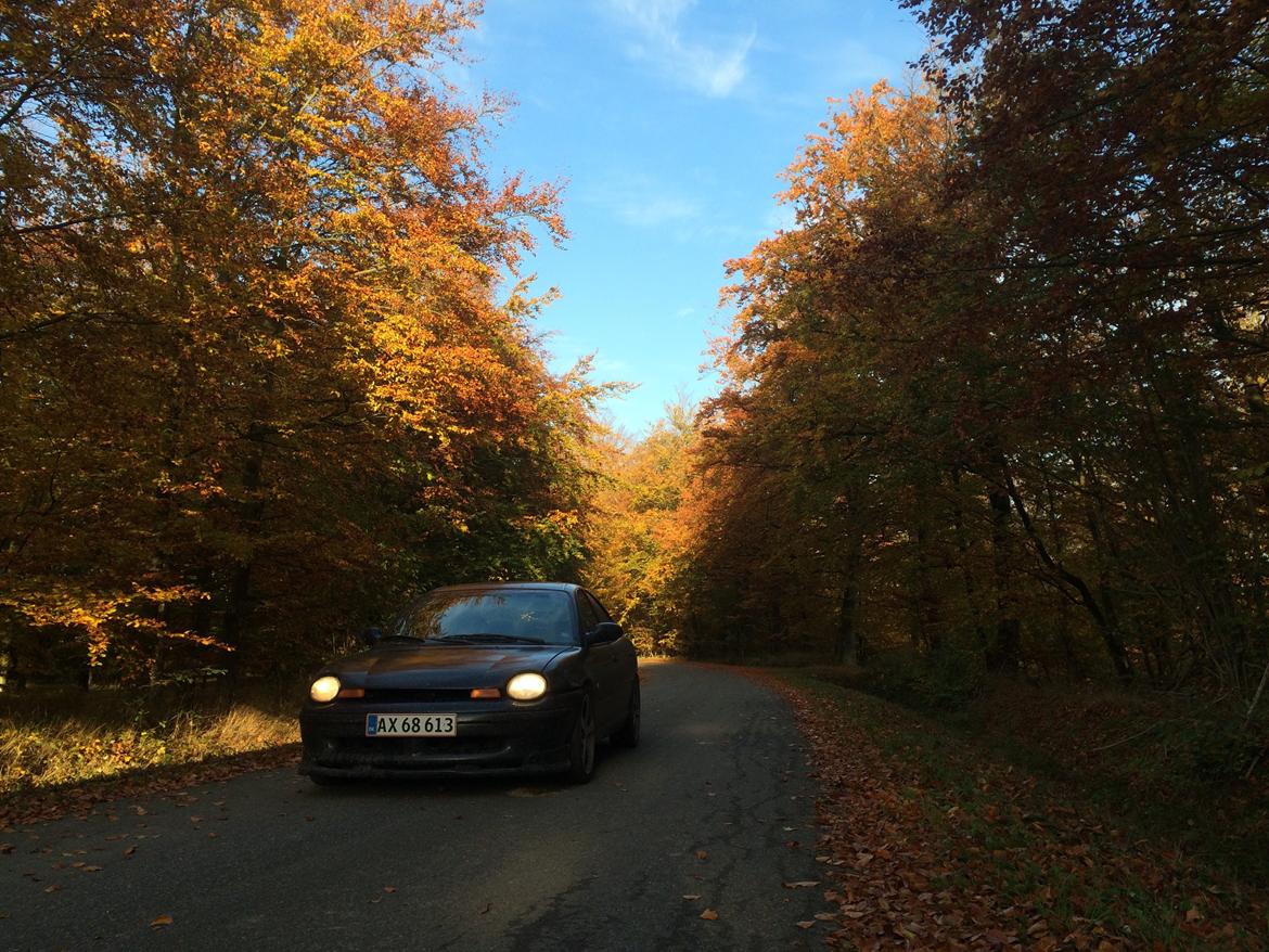 Chrysler Neon billede 14