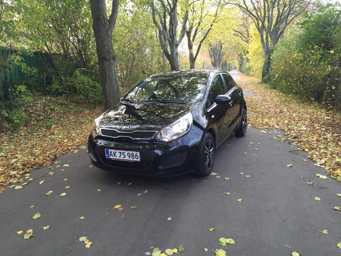 Kia Rio billede 1