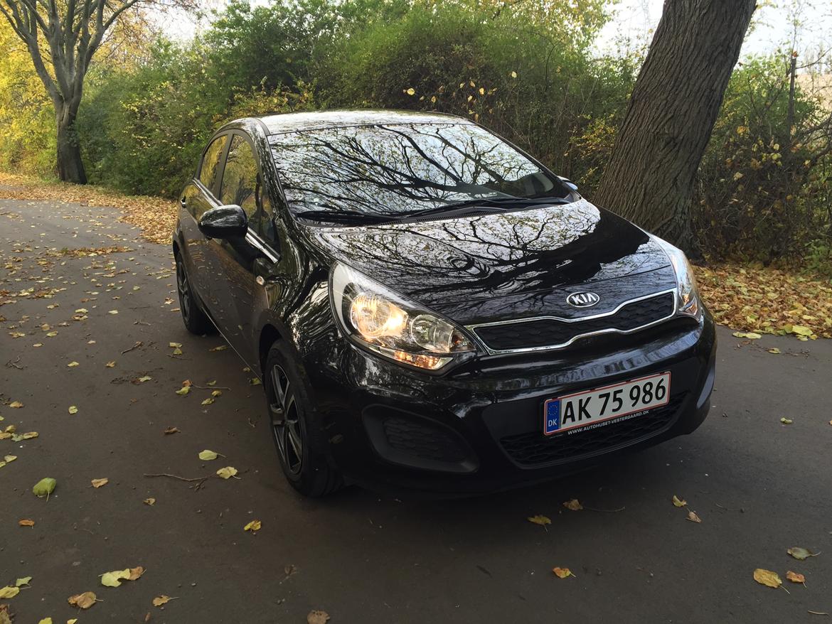 Kia Rio billede 2