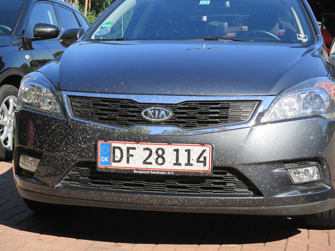 Kia Ceed SW - Efter 5 timer på Autobahn! billede 18