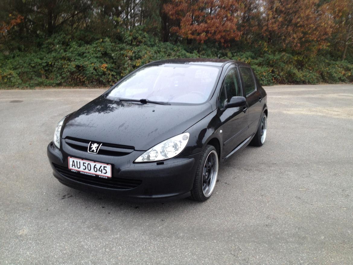 Peugeot 307 Griffe billede 1