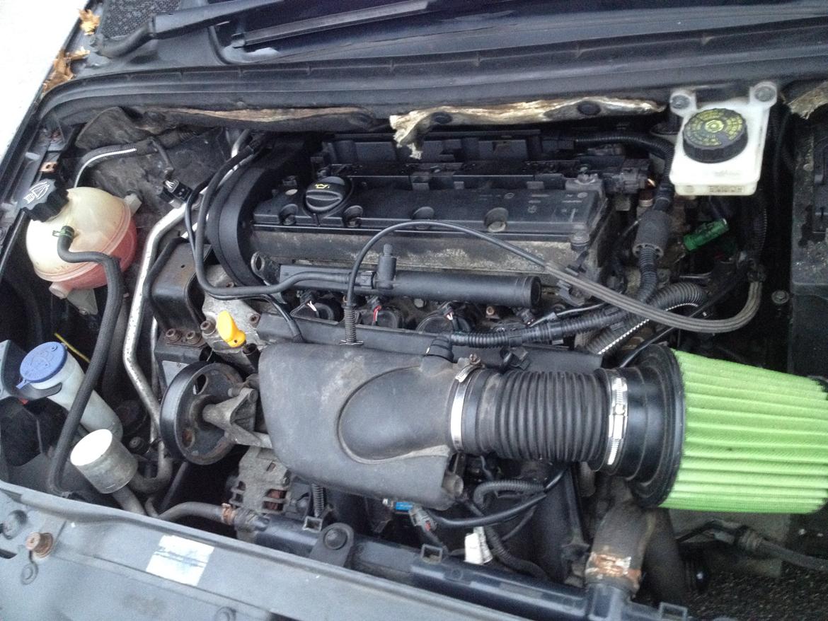 Peugeot 307 Griffe billede 16