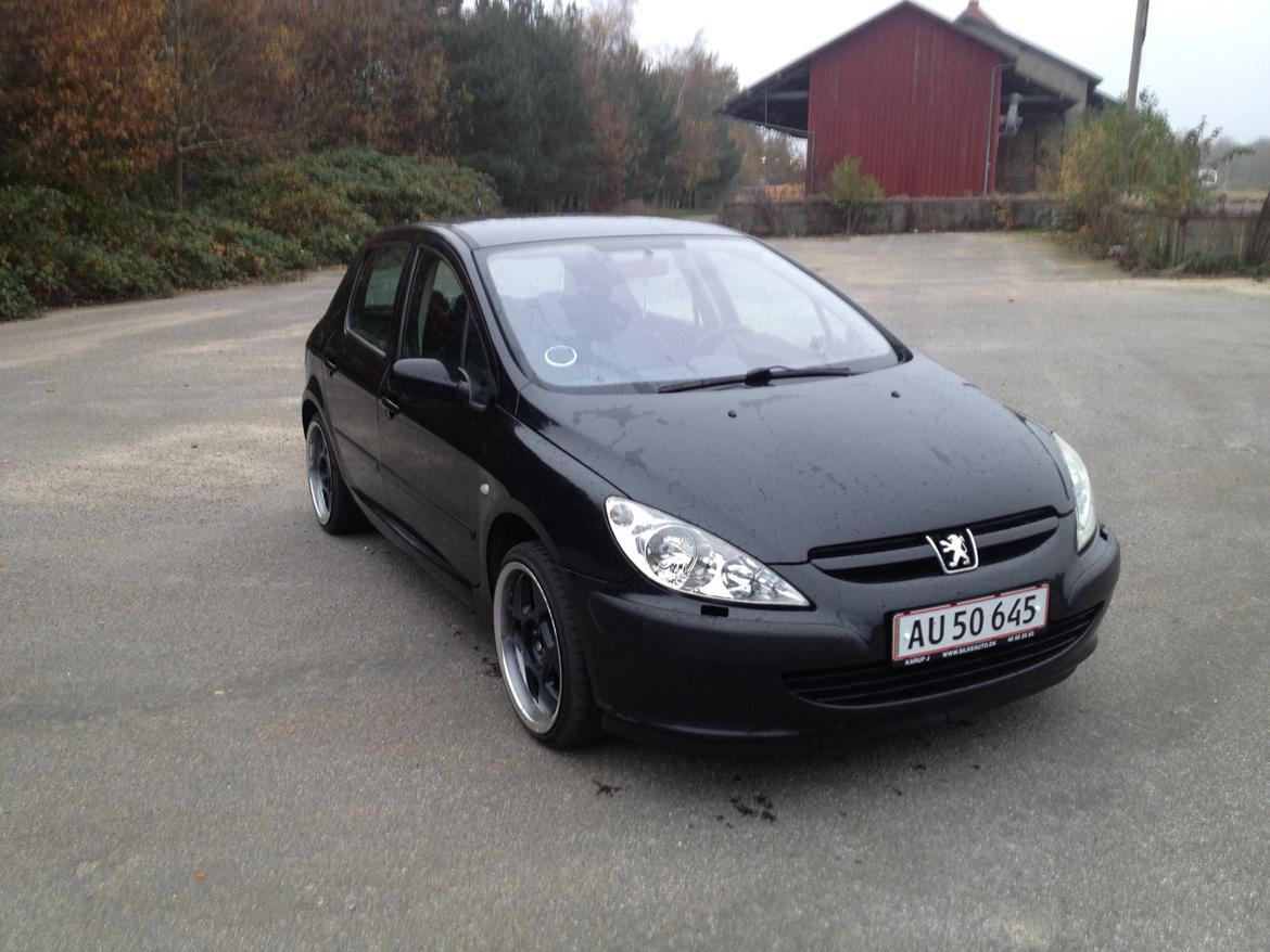 Peugeot 307 Griffe billede 2