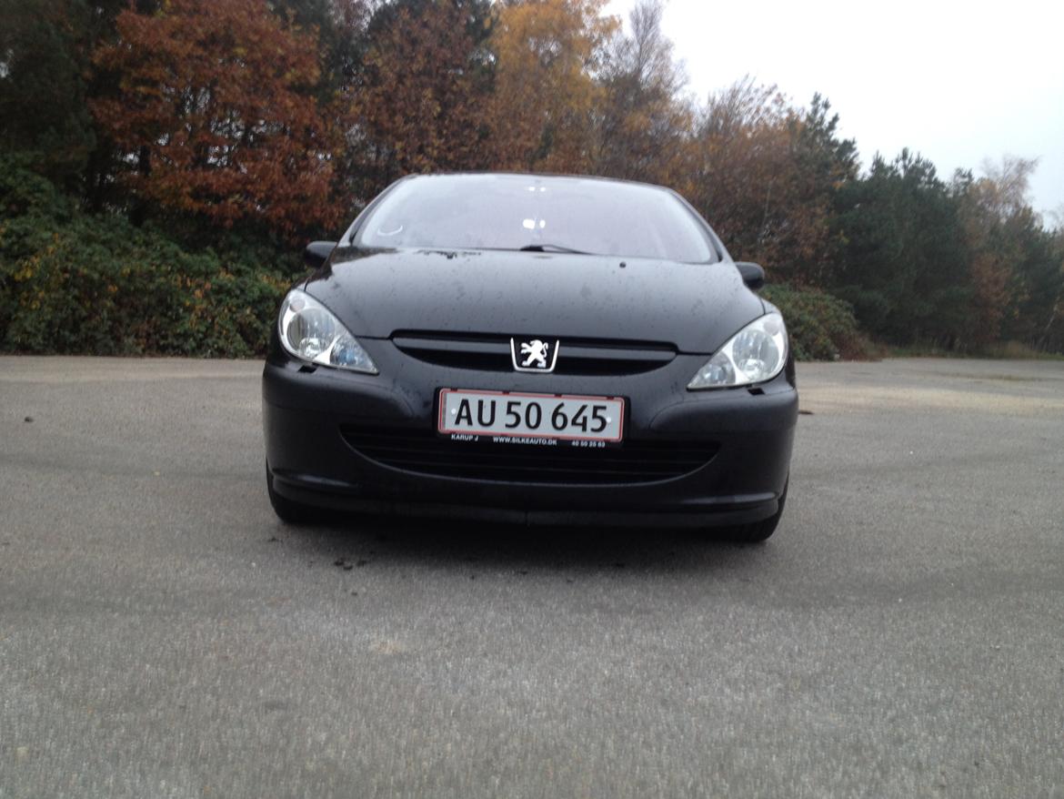 Peugeot 307 Griffe billede 3