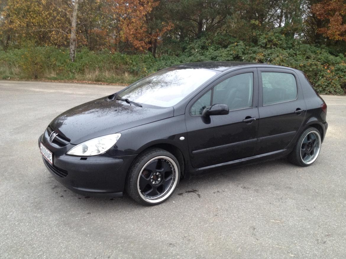 Peugeot 307 Griffe billede 8