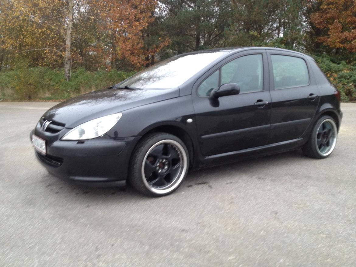 Peugeot 307 Griffe billede 9