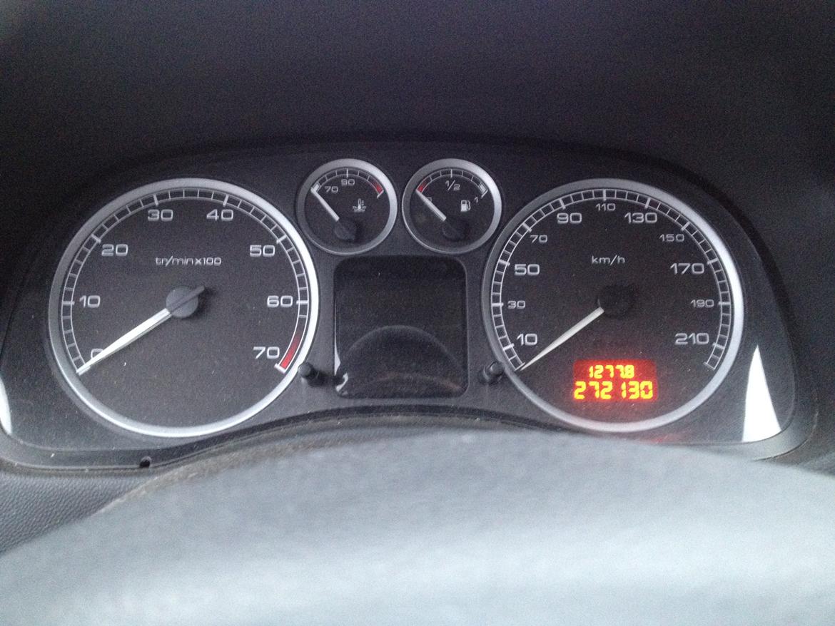 Peugeot 307 Griffe billede 13