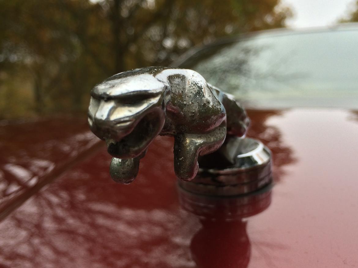 Jaguar XJ6 Daimler 4.0 aut. billede 1