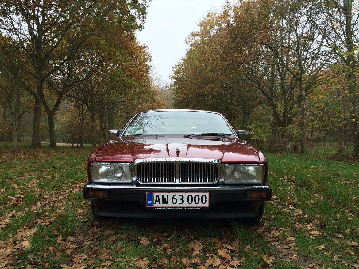 Jaguar XJ6 Daimler 4.0 aut. billede 4