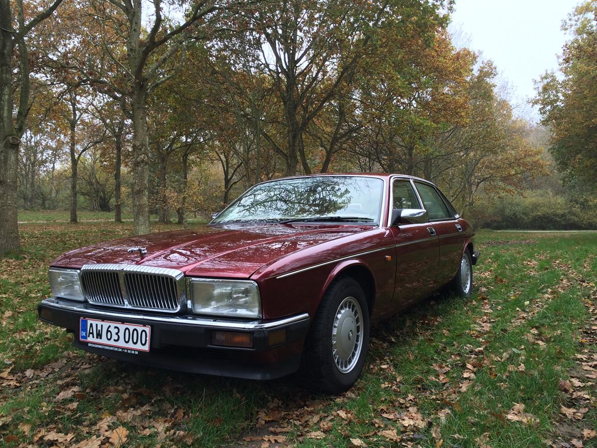 Jaguar XJ6 Daimler 4.0 aut. billede 5