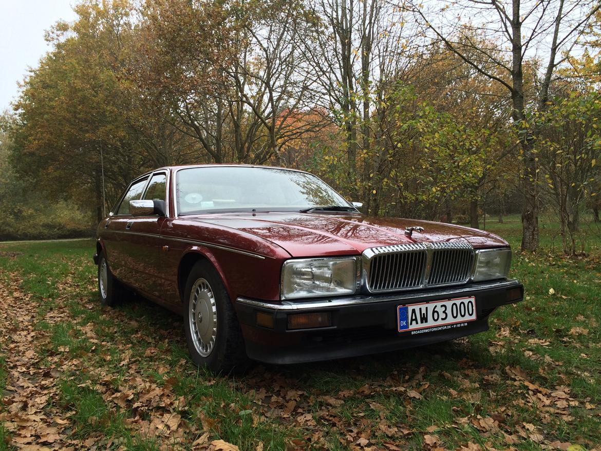 Jaguar XJ6 Daimler 4.0 aut. billede 6