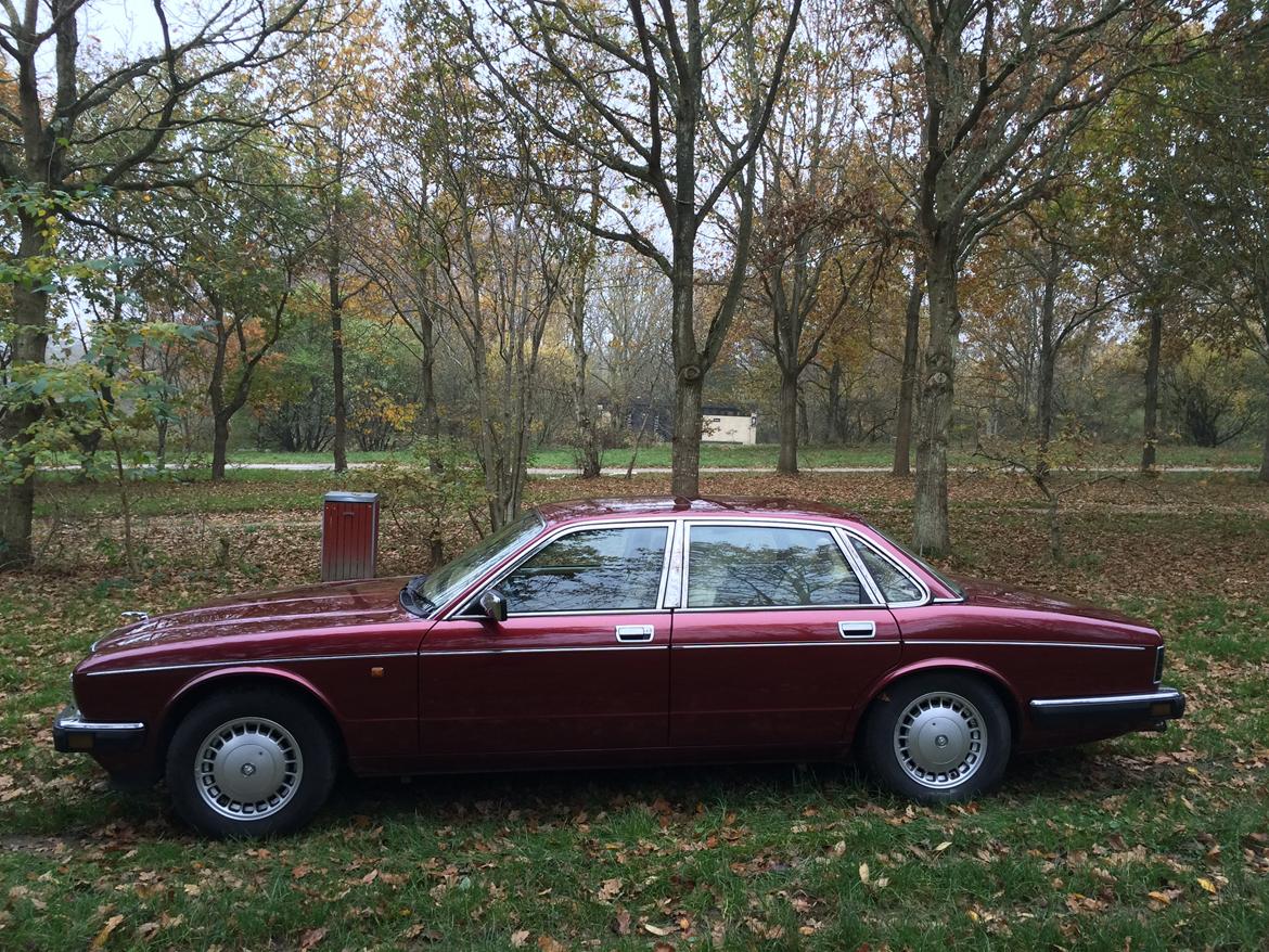 Jaguar XJ6 Daimler 4.0 aut. billede 7