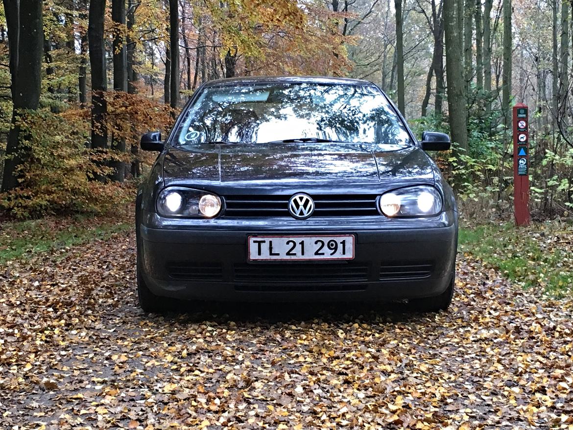 VW Golf IV tdi -solgt- billede 1