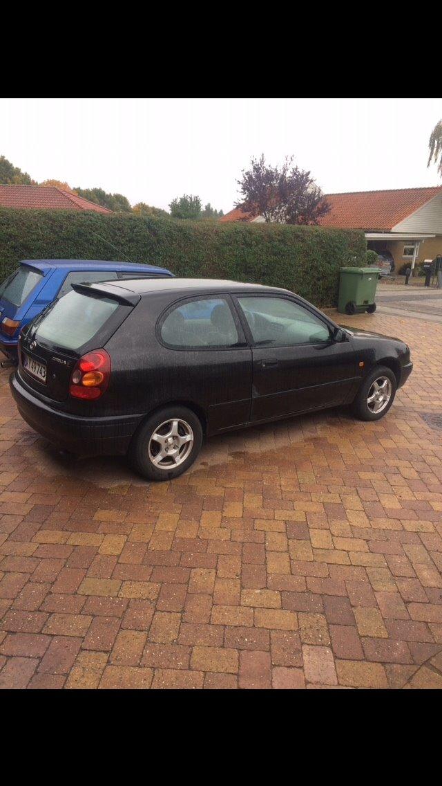 Toyota Corolla E11 Merle billede 5