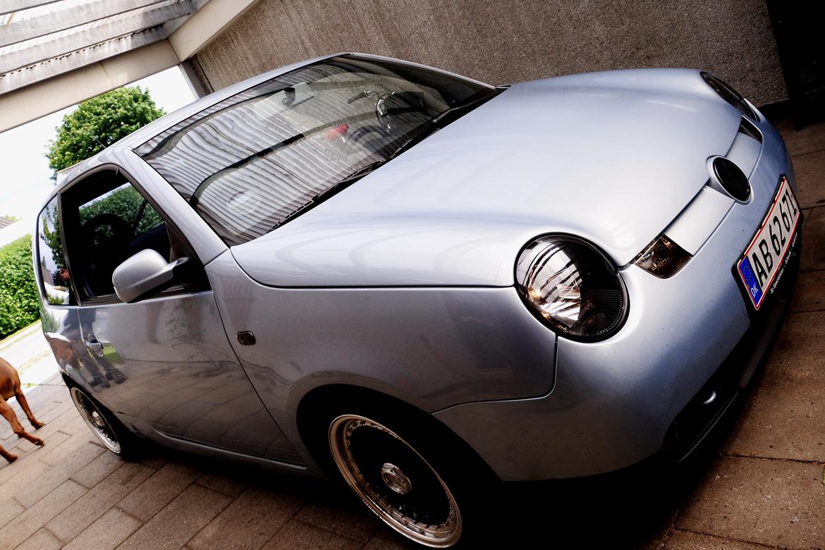 VW Lupo 3l billede 6