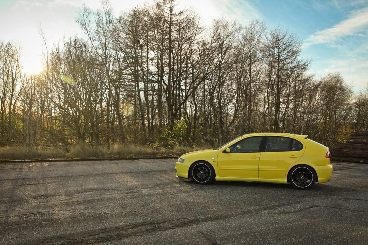 Seat Leon Cupra 4-Motion R32 billede 20