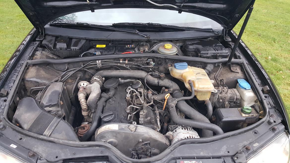 VW Passat 3B 1.9 TDI Variant Van billede 10