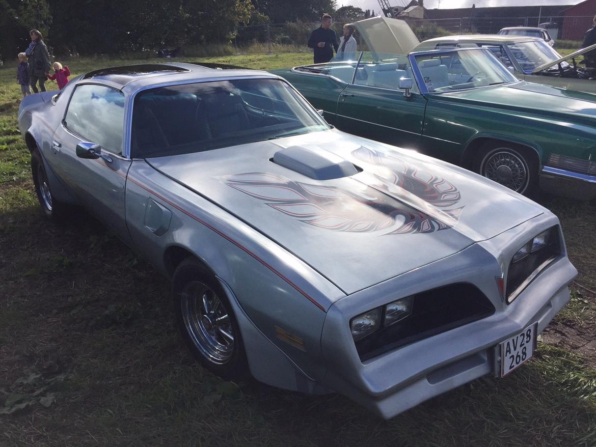 Pontiac Firebird Trans am billede 2