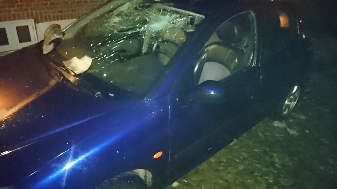 Peugeot 206 1,6 XT [Død] - den tabte sgu kampen mod taget 😂 billede 13