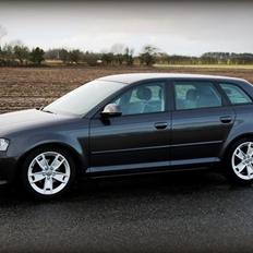 Audi A3 8P Ambition
