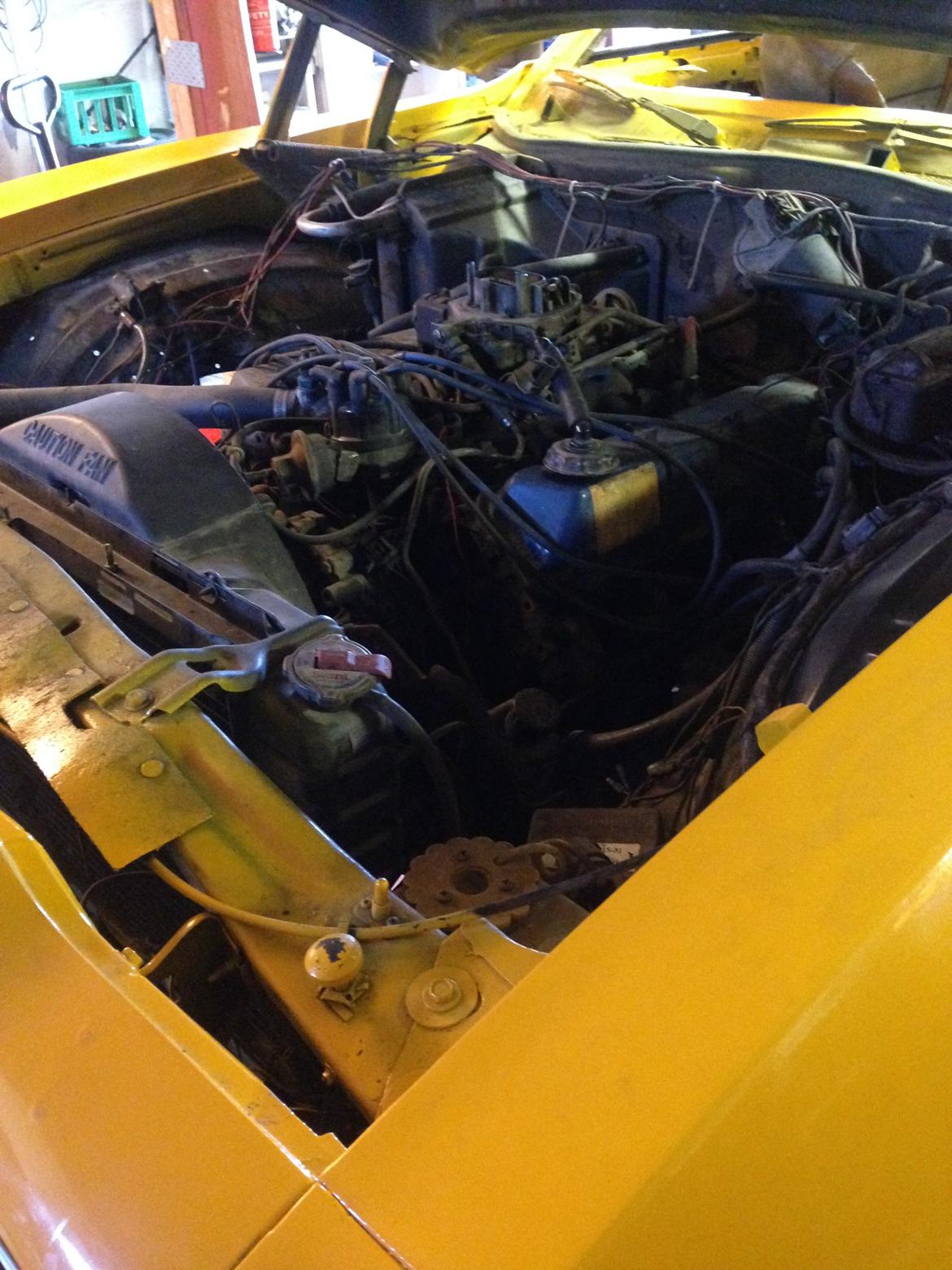 Ford Torino billede 9