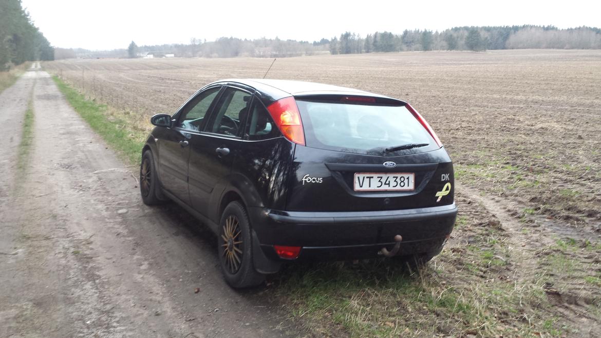 Ford focus Trend  billede 3