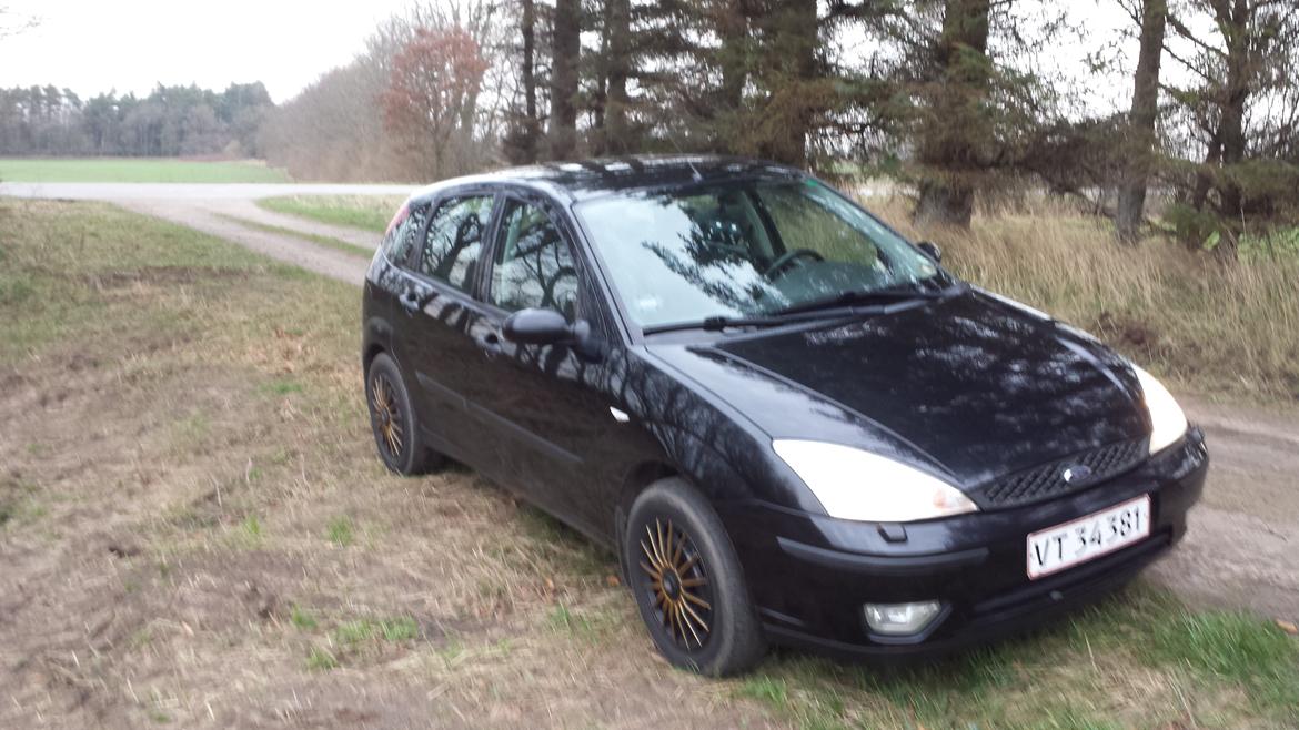 Ford focus Trend  billede 2