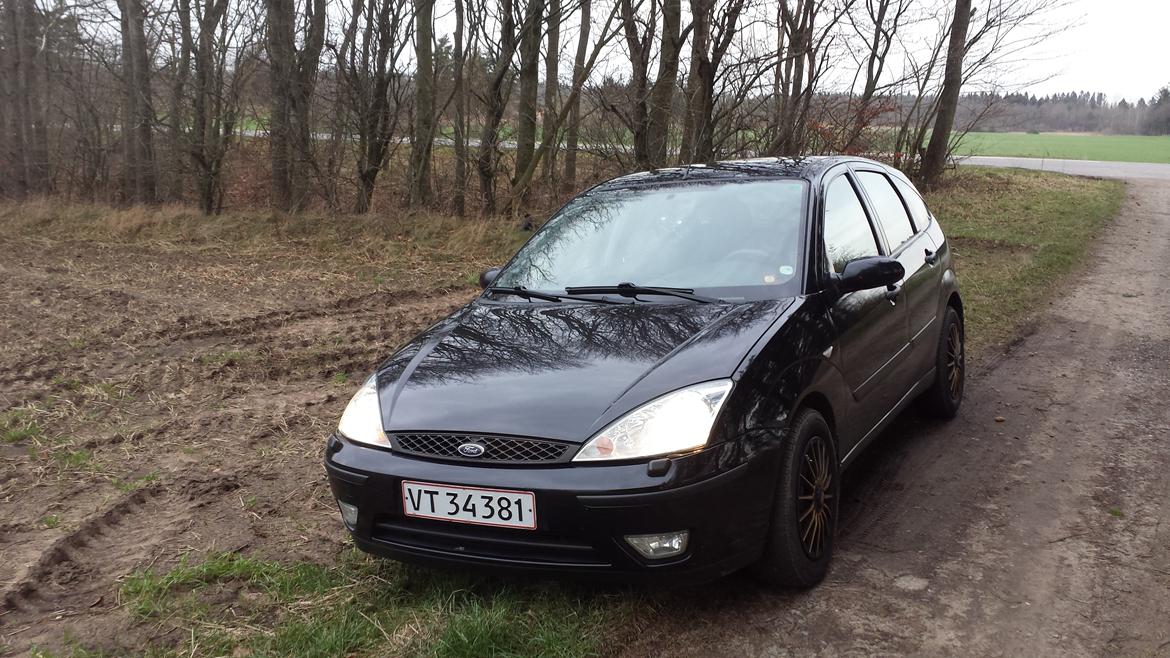 Ford focus Trend  billede 1