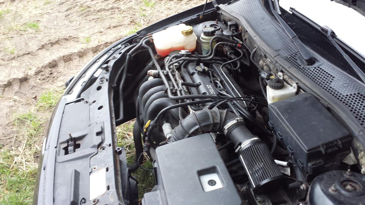 Ford focus Trend  billede 10