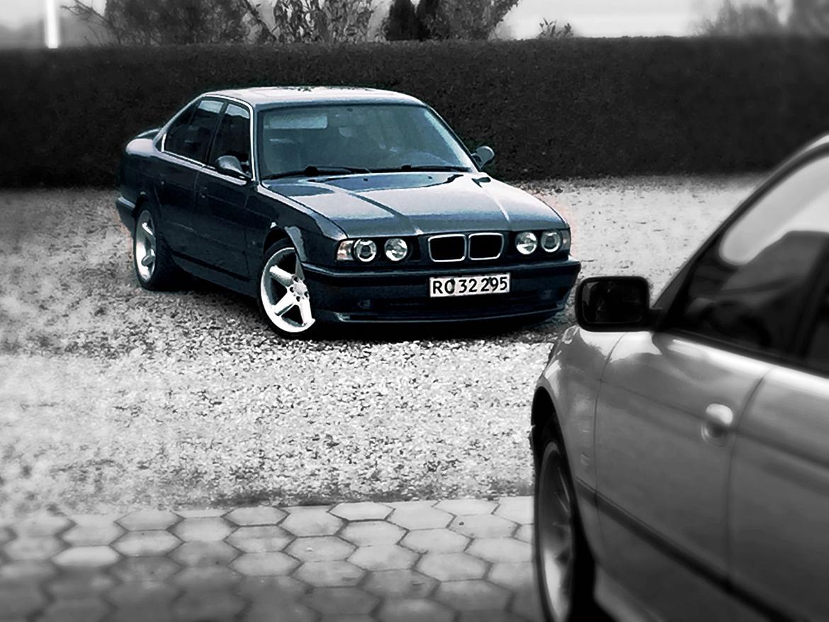 BMW 525i E34 M50B25 billede 14