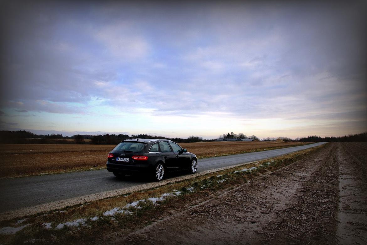 Audi A4 B8 Facelift billede 11