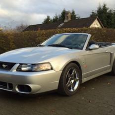 Ford Mustang SVT "Terminator" Cobra 