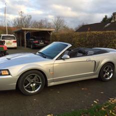 Ford Mustang SVT "Terminator" Cobra 