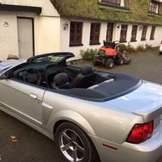 Ford Mustang SVT "Terminator" Cobra 