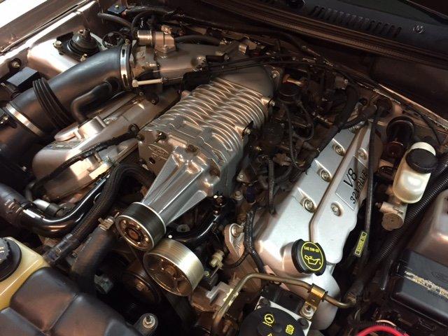 Ford Mustang SVT "Terminator" Cobra  billede 15