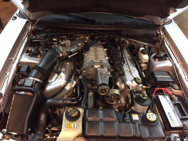 Ford Mustang SVT "Terminator" Cobra  billede 13