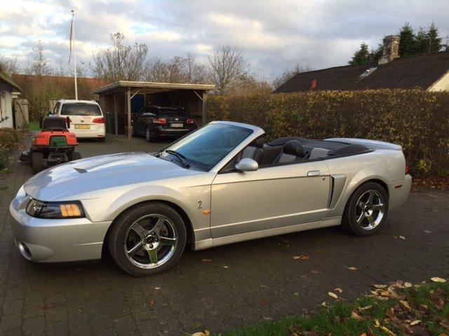 Ford Mustang SVT "Terminator" Cobra  billede 2