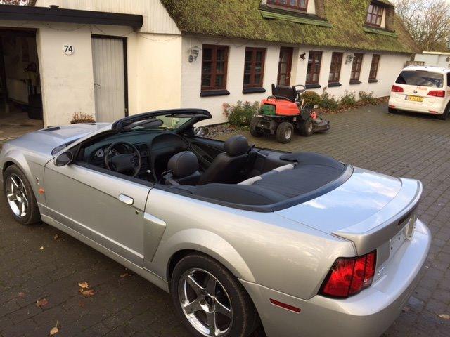 Ford Mustang SVT "Terminator" Cobra  billede 3