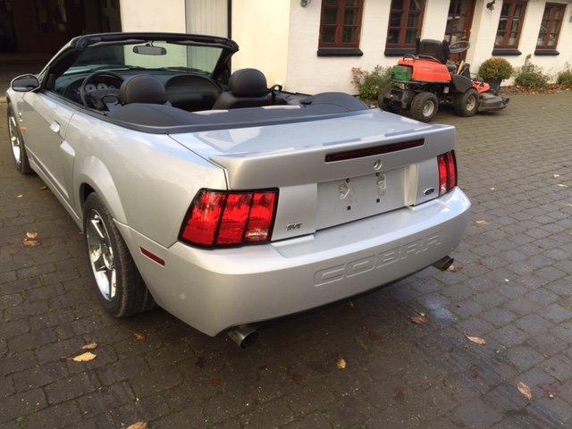 Ford Mustang SVT "Terminator" Cobra  billede 4