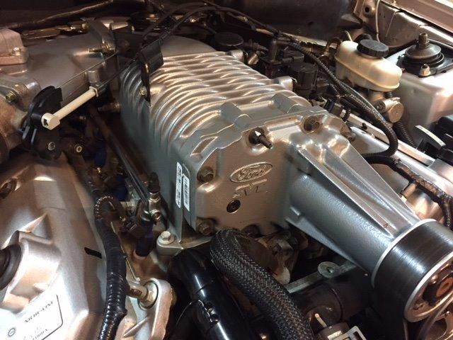 Ford Mustang SVT "Terminator" Cobra  billede 14