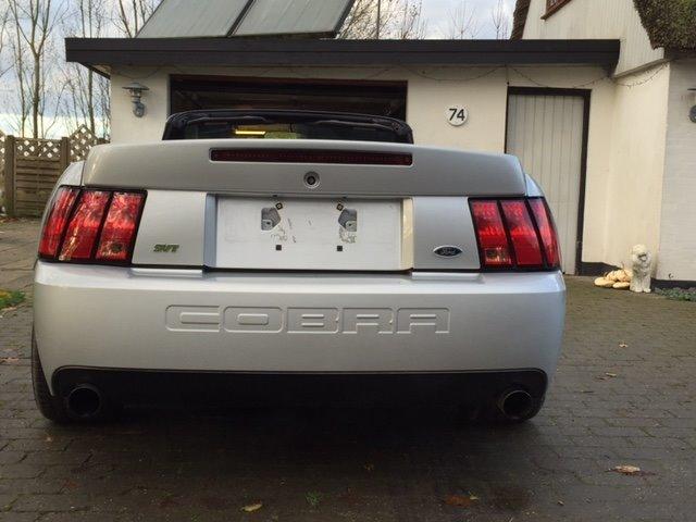 Ford Mustang SVT "Terminator" Cobra  billede 5