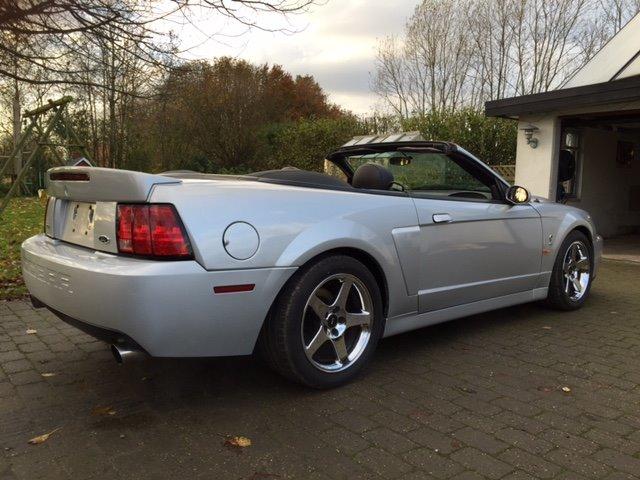 Ford Mustang SVT "Terminator" Cobra  billede 6