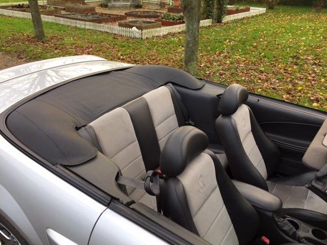 Ford Mustang SVT "Terminator" Cobra  billede 8