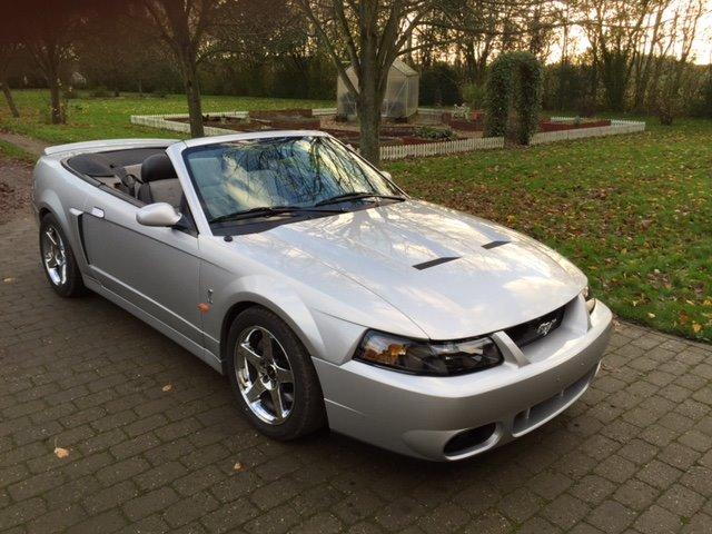 Ford Mustang SVT "Terminator" Cobra  billede 9