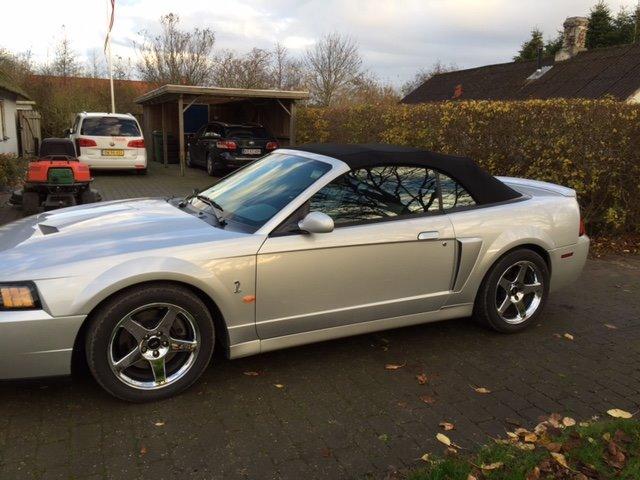 Ford Mustang SVT "Terminator" Cobra  billede 10