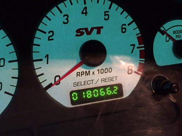 Ford Mustang SVT "Terminator" Cobra  billede 16