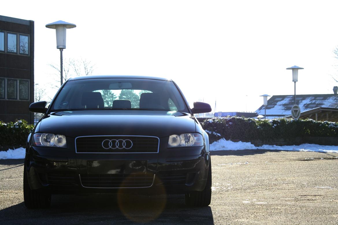 Audi A3 8P billede 2