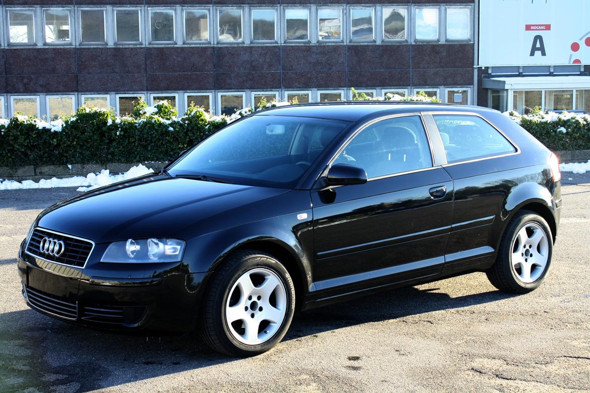 Audi A3 8P billede 3