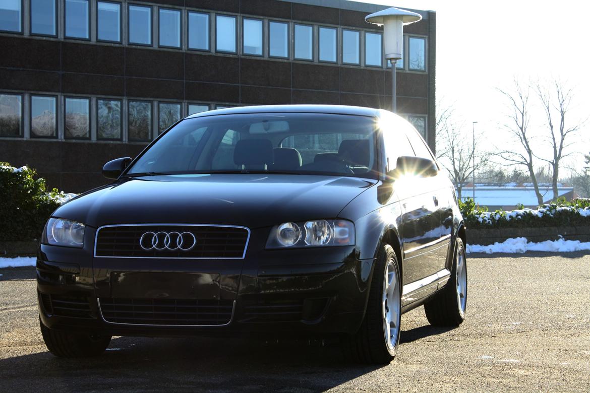 Audi A3 8P billede 1